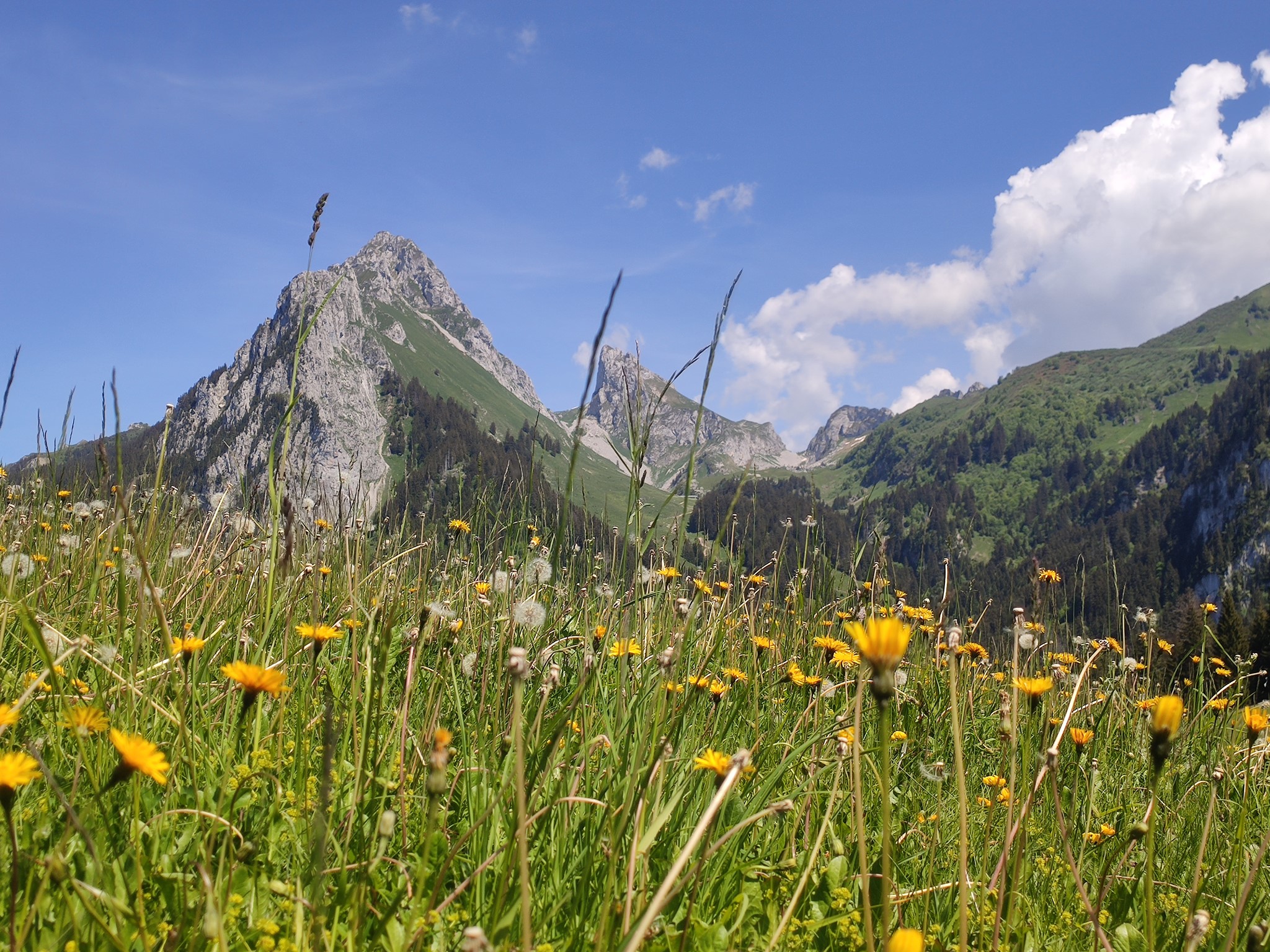 BERNEX, UN VILLAGE-STATION 4 SAISONS !